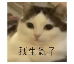 737153503