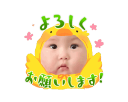 737162046