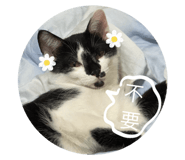 737165094