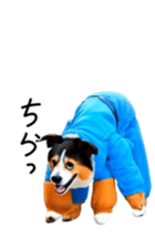 737193589