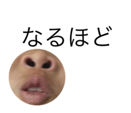 737198632