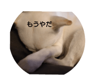 737223510