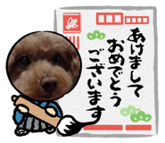 737223630