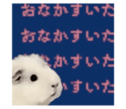 737234223