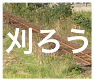 737239897
