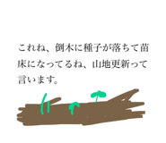 737246459
