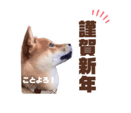 737268210