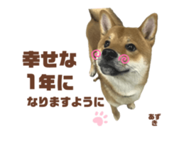 737268212