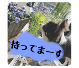 737269119