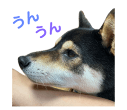 737275751