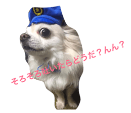 73729372
