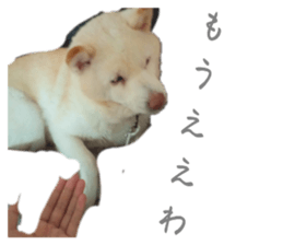 737329777