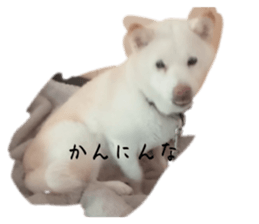 737329787