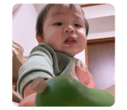 737332025