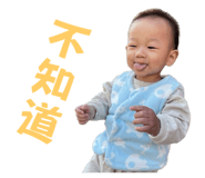 737340113