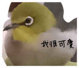 737340329
