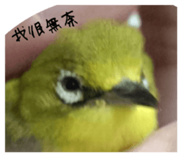 737340330