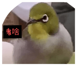 737340338