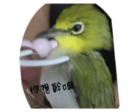 737340360