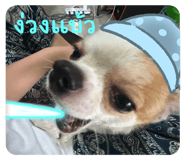 737344297
