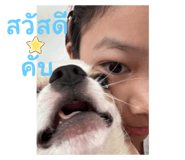 737344303