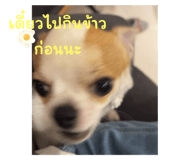 737344307