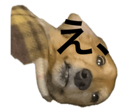 737345846