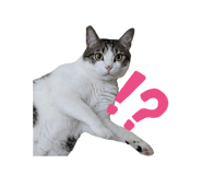737350004