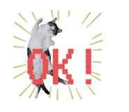 737350005