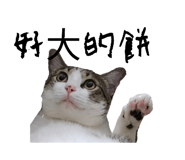 737350007