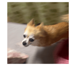 737356165
