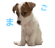 737372594