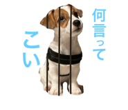 737372599