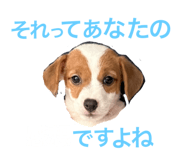 737372600