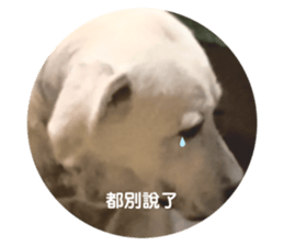 737374505