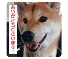 737395417