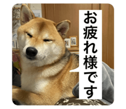 737395420