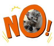 737401757