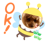 737423733
