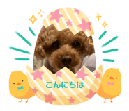 737423741