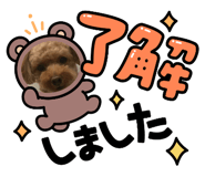 737423742