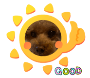 737423744