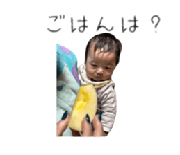 737441780