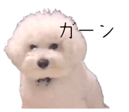 737460300
