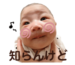 737466445