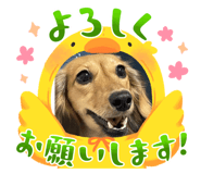 737470609