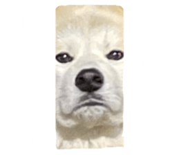 737544786