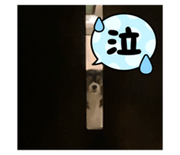 737544834