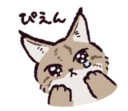 短尾猞猁 | Yabe-LINE貼圖代購 | 台灣No.1,最便宜高效率的代購網