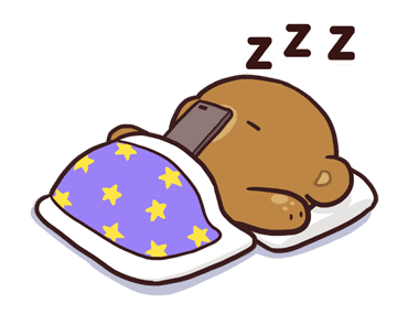 ลายที่ 13